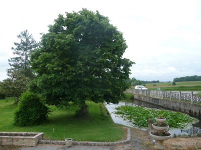 PETITAT_152622