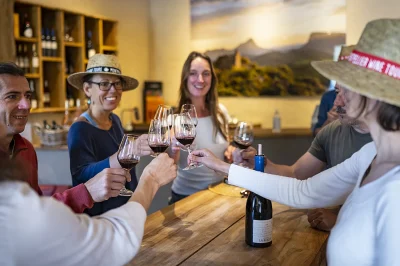 PIC-SAINT-LOUP-VIGNES-ET-OLIVIERS-8211-MONTPELLIER-WINE-TOURS-8211-Saint-Clement-de-Riviere_2283080