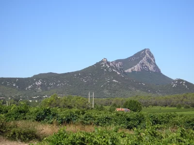 PIC-SAINT-LOUP_614728