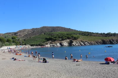 PLAGE-BERNARDI_711882