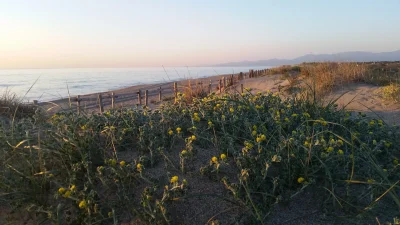 PLAGE-NORD-8211-Torreilles_1650005