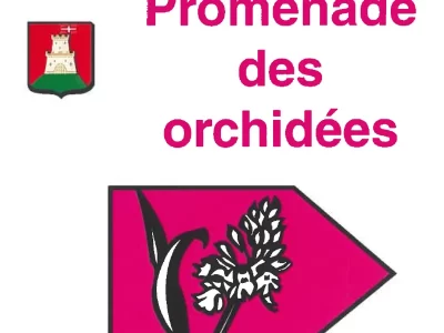 PROMENADE-DES-ORCHIDEES_1020312