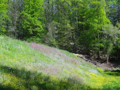 PUY-JOBERT_117308