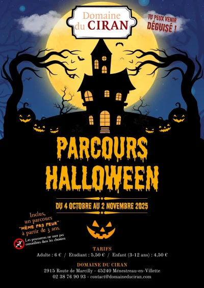 Pacours-Halloween-8211-04-10-2025-8211-Menestreau-en-Villette_3133365