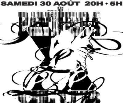 Panthera-x-LLLC-8211-30-08-2025-8211-Marseille-15e-Arrondissement_3034604