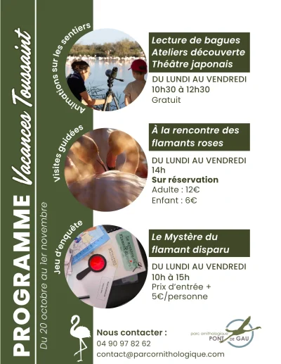 Parc-Ornithologique-8211-Vacances-de-la-Toussaint-8211-20-10-2025-8211-Saintes-Maries-de-la-Mer_3186377