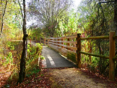 Parc-Rosa-Bonheur-8211-Nevers_3518206