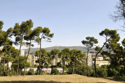 Parc-Saint-Theodore-8211-Marseille-13e-Arrondissement_1846924