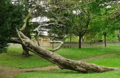 Parc-Thermal-a-La-Roche-Posay_1164280