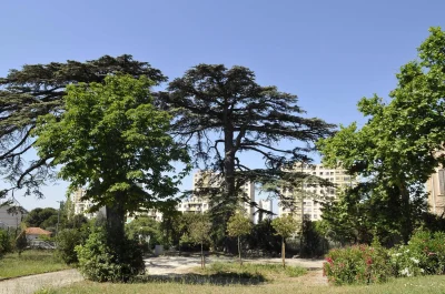 Parc-Varella-8211-Marseille-15e-Arrondissement_1863228