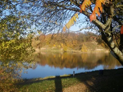 Parc-almet-8211-Behren-les-Forbach_3866989