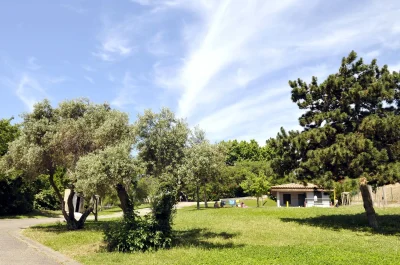 Parc-de-la-Calade-8211-Marseille-15e-Arrondissement_1859598