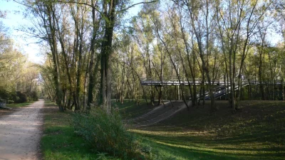 Parc-de-la-Feyssine_340139