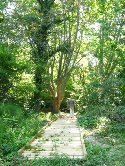 Parc-de-la-Poudrerie-Saint-Chamas-8211-Miramas_665448