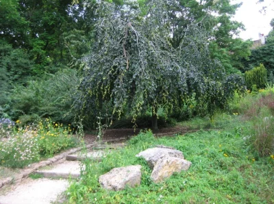 Parc-des-Carrieres-Bacquin-8211-Dijon_1598767
