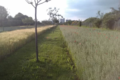 Parc-des-Lilas_342473