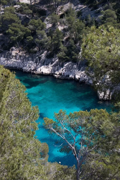 Parc-national-des-Calanques_648919