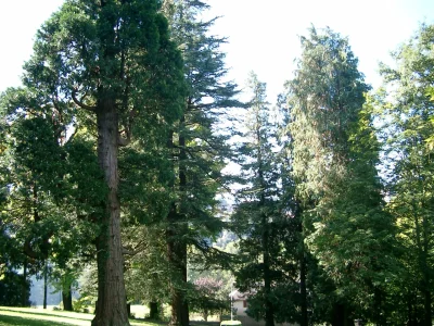 Parc-pomme-8211-Oloron-Sainte-Marie_2126569