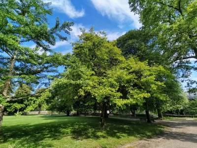 Parcours-Arbres-Exceptionnels-8211-Orthez_438385