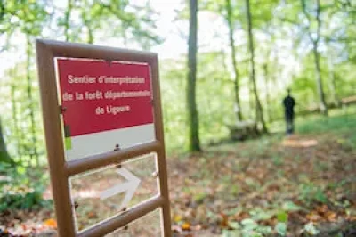 Parcours-Explor-Games®-Ligoure-une-histoire-de-famille-8211-Saint-Jean-Ligoure_1389069