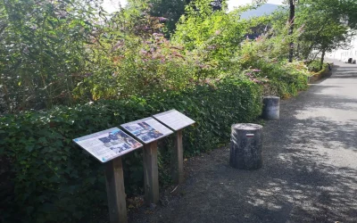 Parcours-Patrimoine-de-la-bastide-de-Lestelle-au-pelerinage-de-Betharram-8211-Lestelle-Betharram_2392332