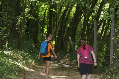 Parcours-Trail-Montignac-Lascaux-n°11-8211-Montignac-Lascaux_3284081