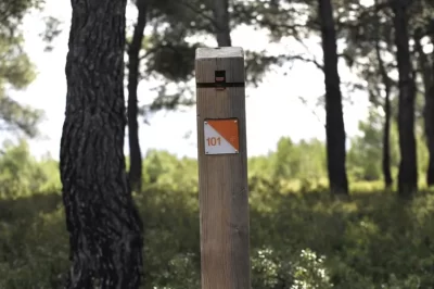 Parcours-d039orientation-Plaine-de-l039Isle-Verte_1066394