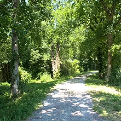 Parcours-de-Sante-d039Eugenie-les-Bains_1099287