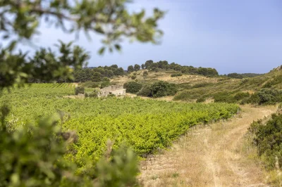 Parcours-pedestre-du-Domaine-la-Cadeniere-8211-Lancon-Provence_3112912
