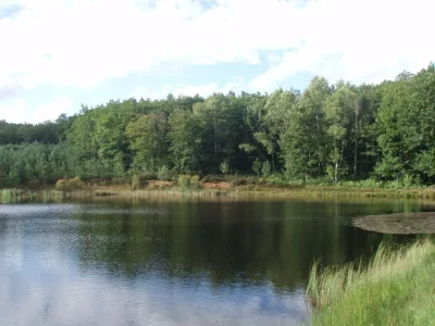 Parcours-permanent-d039orientation-de-la-foret-de-Mirambel_1023939