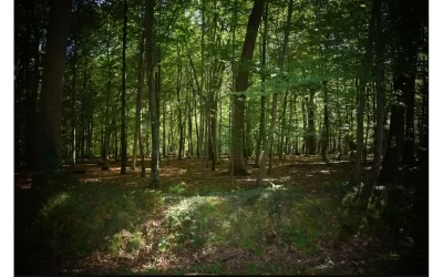 Parcours-sportif_1037246