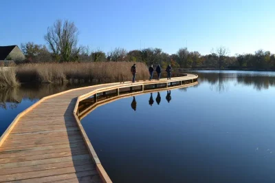 Passerelle-de-Valmicky-Reserve-naturelle-regionale-Terres-et-etangs-de-Brenne-Masse-Foucault-8211-Rosnay_2386119