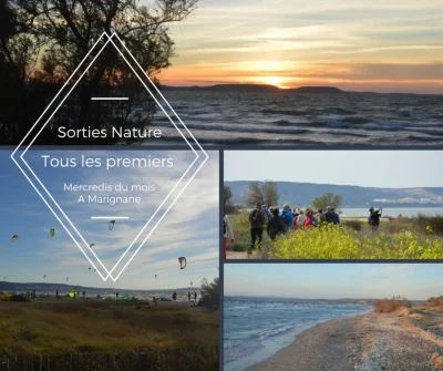 Paysages-de-Marignane-Randonnees-commentees-8211-08-01-2025-8211-Marignane_1923617