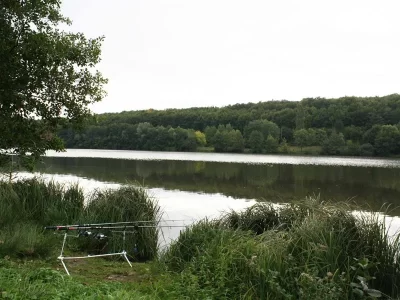 Peche-au-plan-d039eau_710986