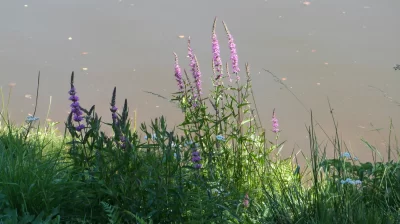 Peche-en-etangs-prives_1135847