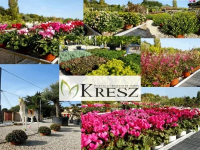 Pepiniere-et-jardinerie-Kresz-8211-Fuveau_3440941