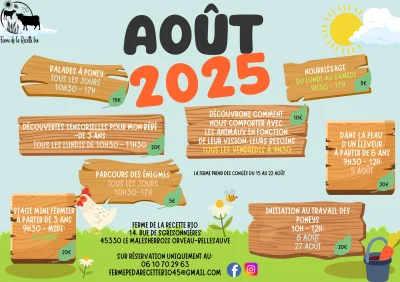 Periode-estivale-a-la-ferme-8211-01-08-2025_2854656