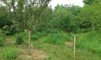 Permaculture-au-Jardin-des-Cabanes-8211-04-10-2025-8211-Argentonnay_2156650