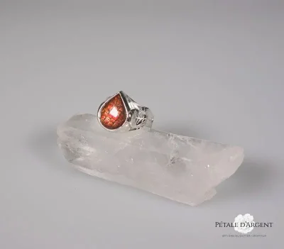 Petale-d039Argent-8211-Tournon-Saint-Martin_2508002