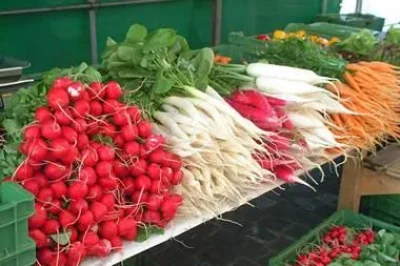 Petit-marche-hebdomadaire-8211-01-01-2025-8211-Dambach-la-Ville_2424373