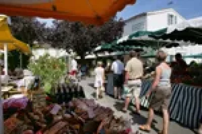 Petit-marche-traditionnel-de-Mezin-8211-01-01-2024-8211-Mezin_2013023