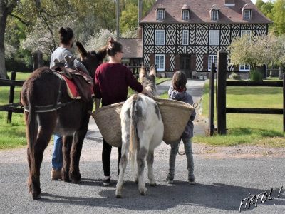 Petite-vadrouille-avec-un-ane-2h-a-4h-au-Domaine-de-Firfol_179454