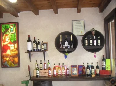 Pique-nique-chez-le-vigneron-au-Domaine-Amblard-8211-08-06-2025-8211-Saint-Sernin_1985313