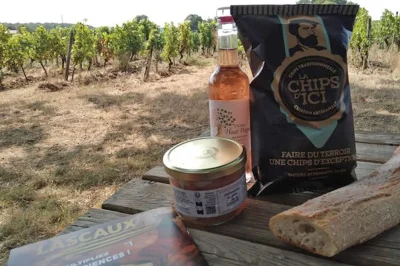 Pique-nique-de-la-vigneronne-Chateau-du-Haut-Pezaud-8211-25-05-2026-8211-Monbazillac_3642363