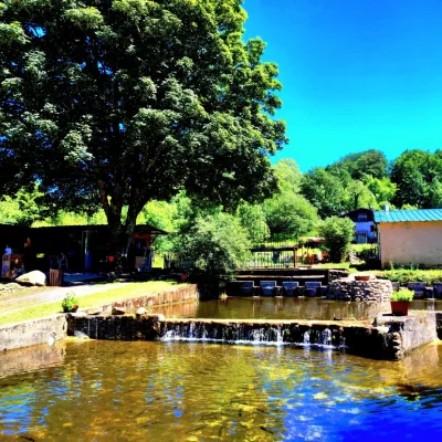 Pisciculture-Les-Uguettes-8211-La-Salvetat-sur-Agout_2461831