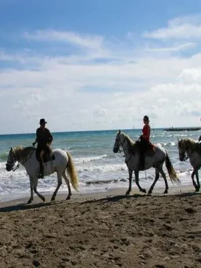 Plage-Crin-Blanc_738504