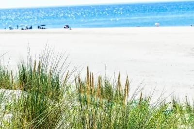 Plage-des-Olives-surveillee-de-Soulac_594107