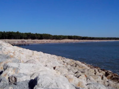 Plage-des-Pins-de-Cordouan-8211-Les-Mathes_2859045