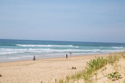 Plages-oceanes-et-foret-8211-Lege-Petit-Crohot-8211-Lege-Cap-Ferret_3331427