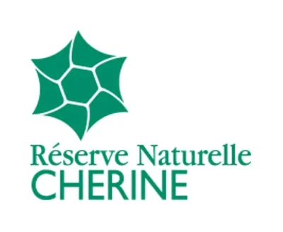 Plateforme-d039observations-Reserve-naturelle-de-Cherine-8211-Saint-Michel-en-Brenne_3528898